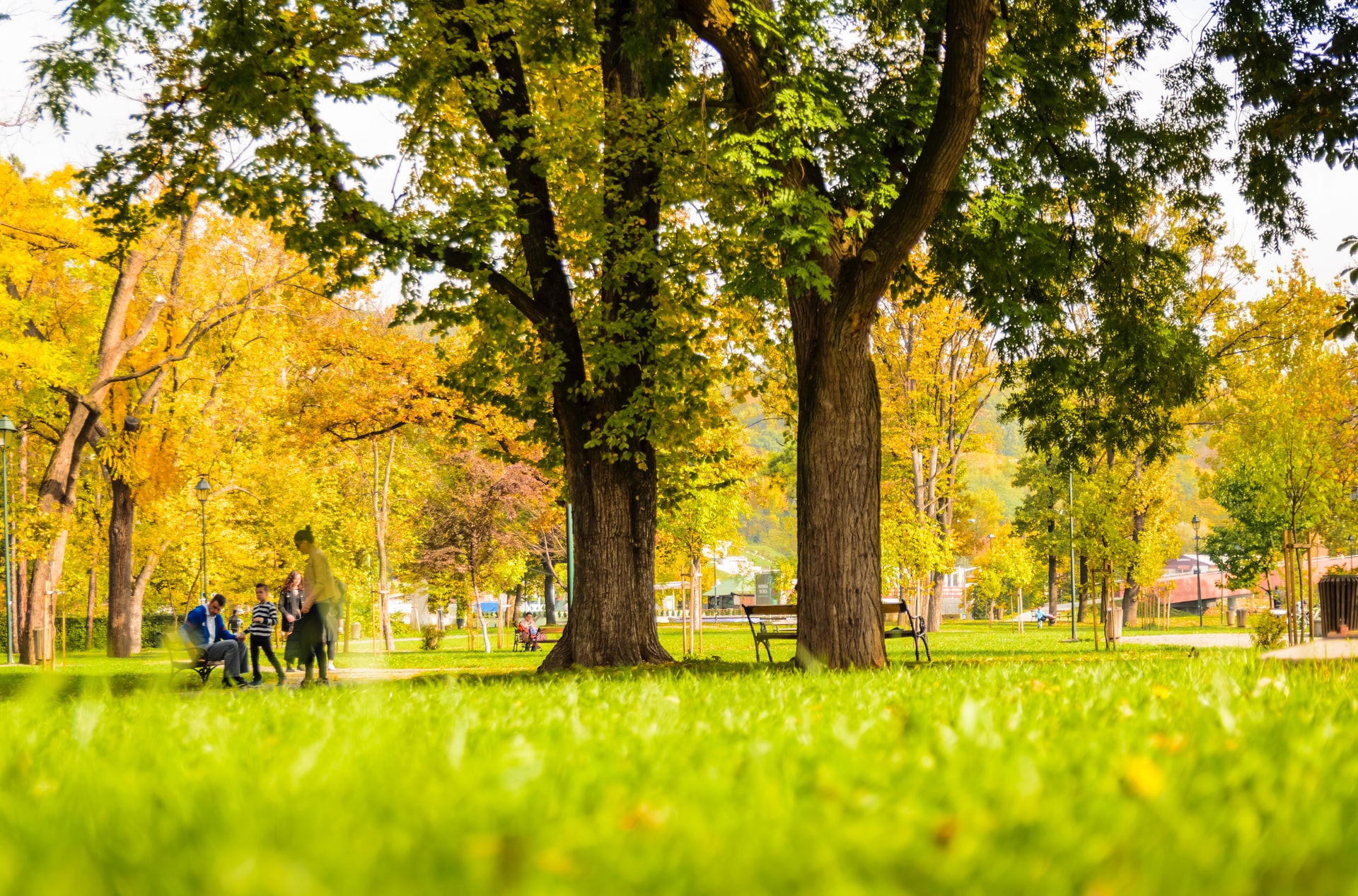 Finding God In The Park